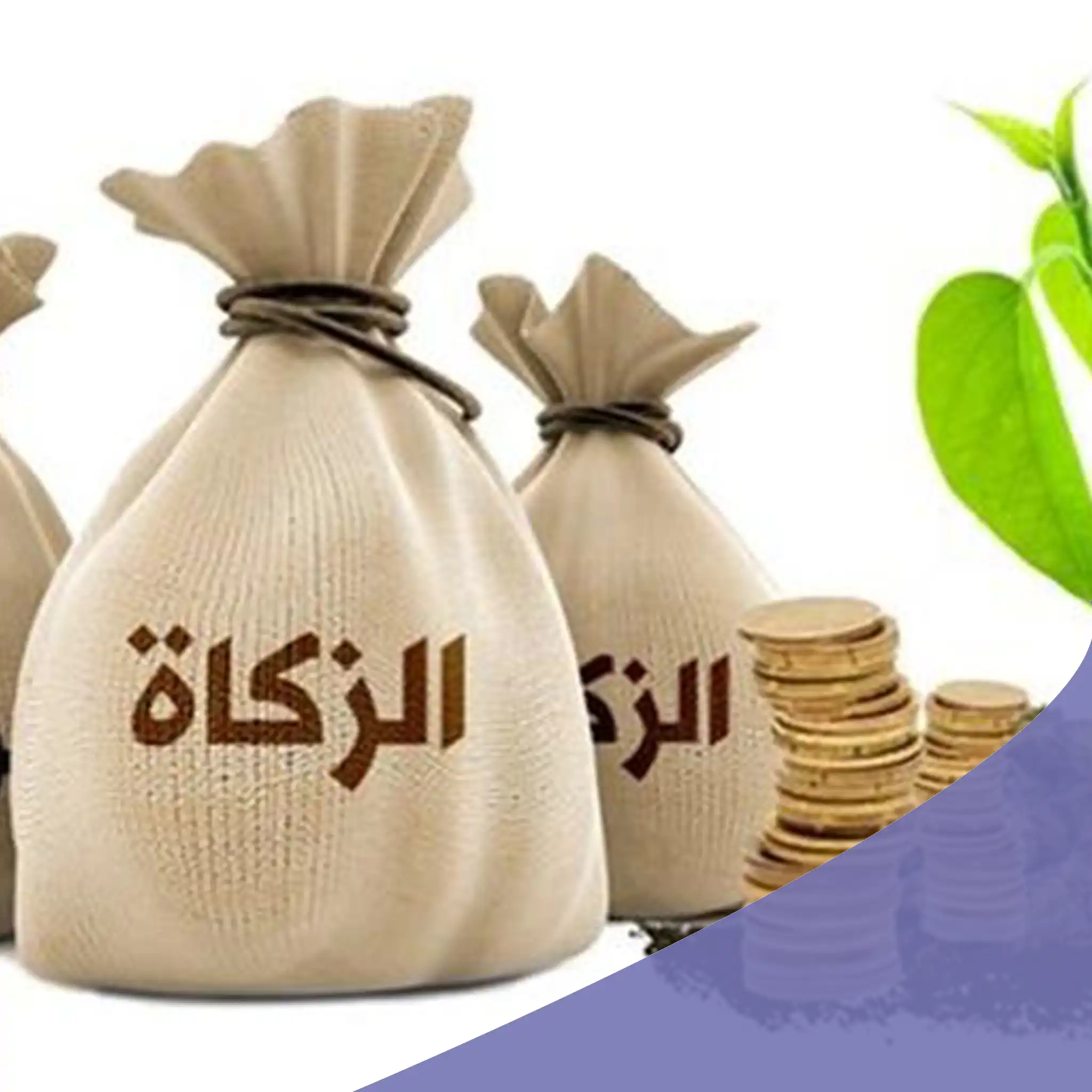 زكاة المال