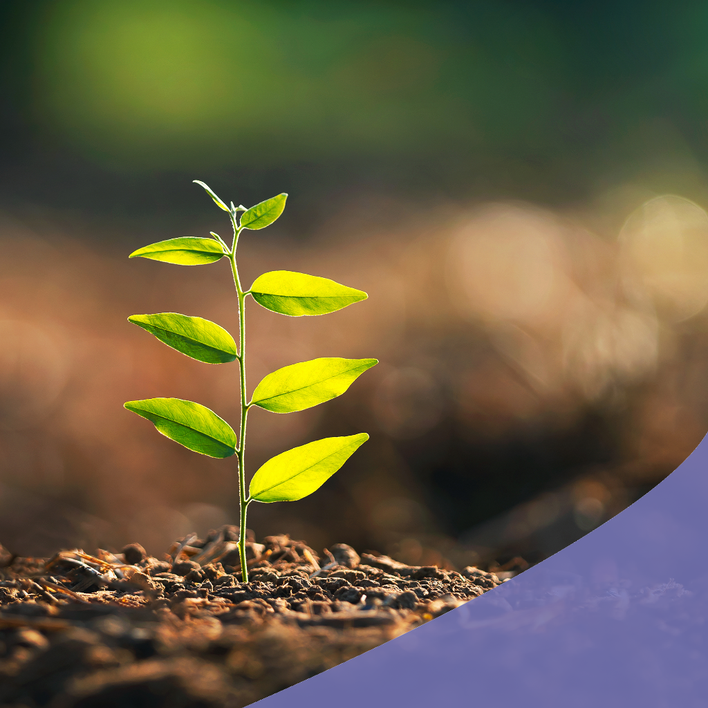 انشطة الجمعية 