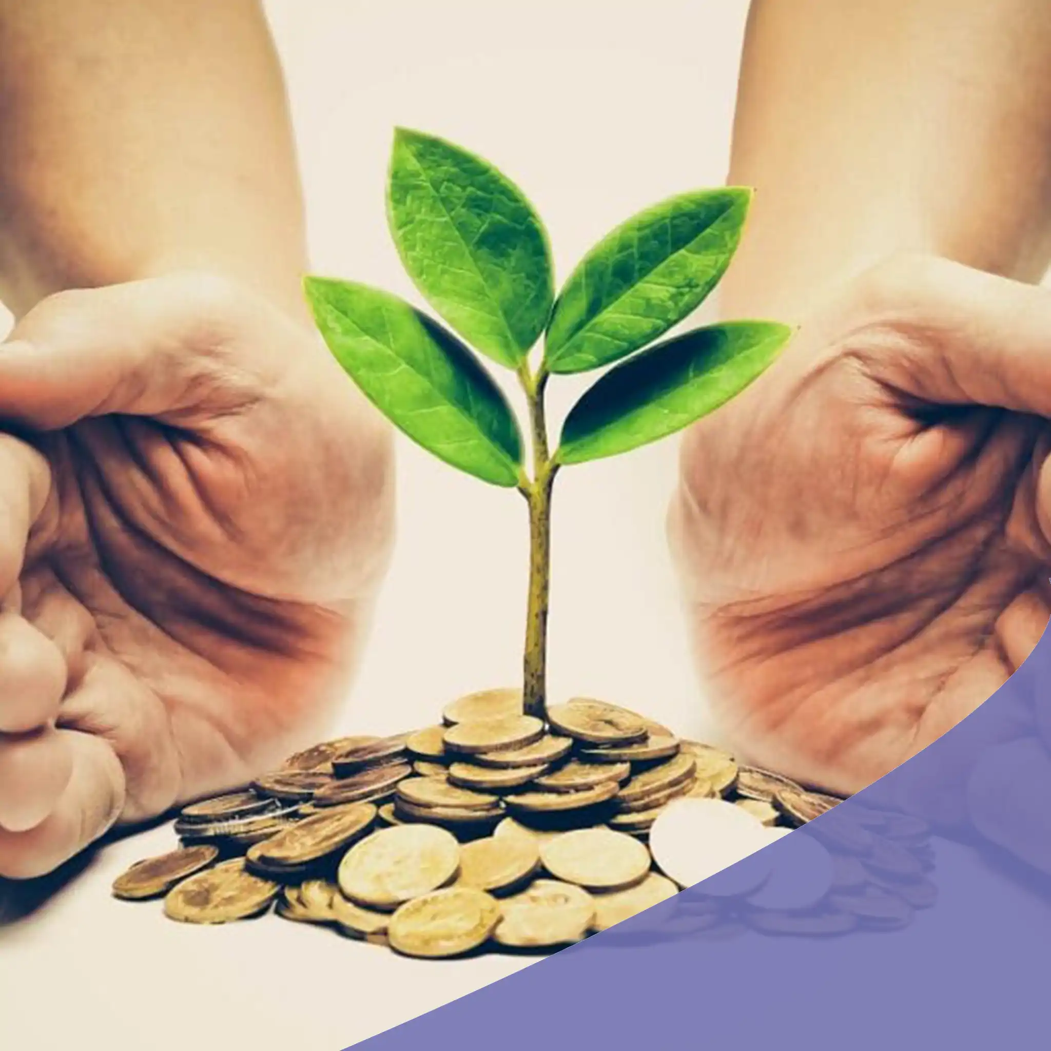 الصدقة الجارية